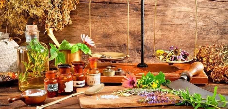 Willow Tree Healing House Holistic Wellness Solutions And Products